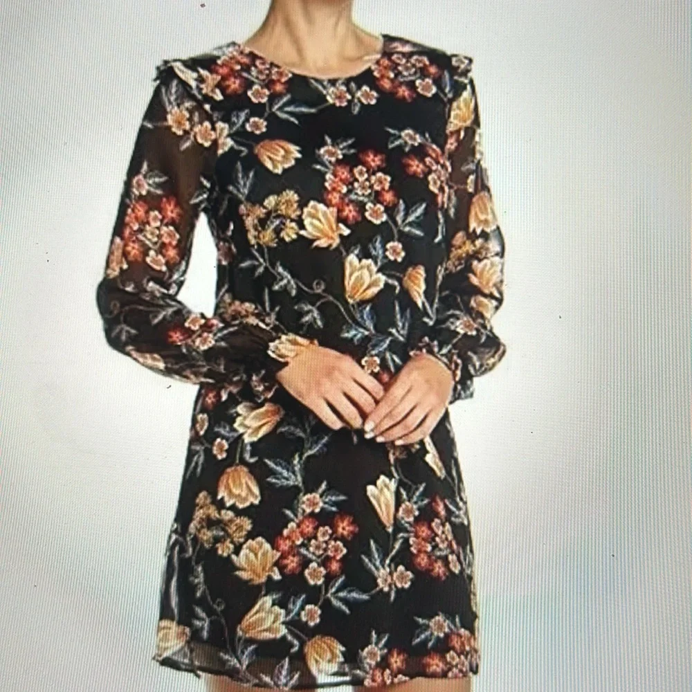 Sheer shift dress with lining - Picture 4 of 5